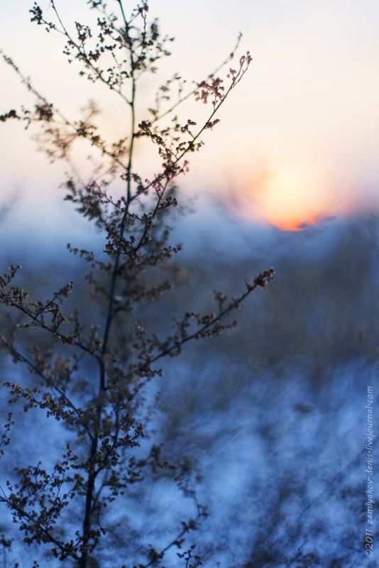 Photo 79011