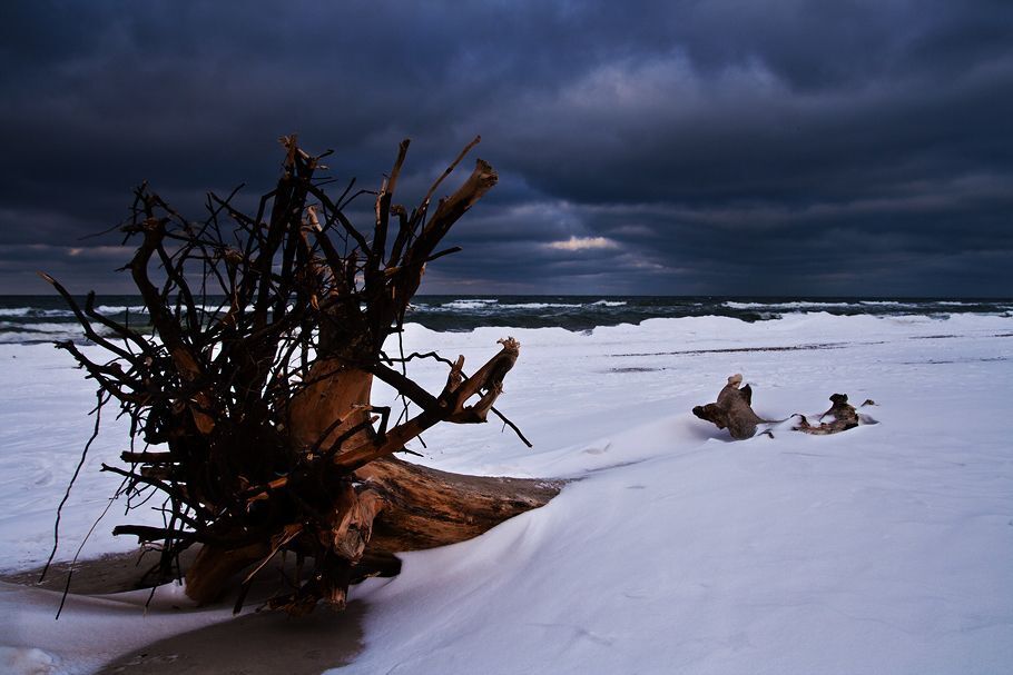 Baltic coast in february, near Jastrzębia G&oacute;ra (Poland)