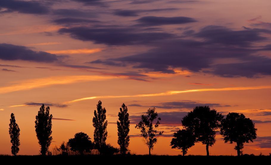 Silhouette