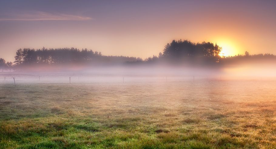 Foggy morning