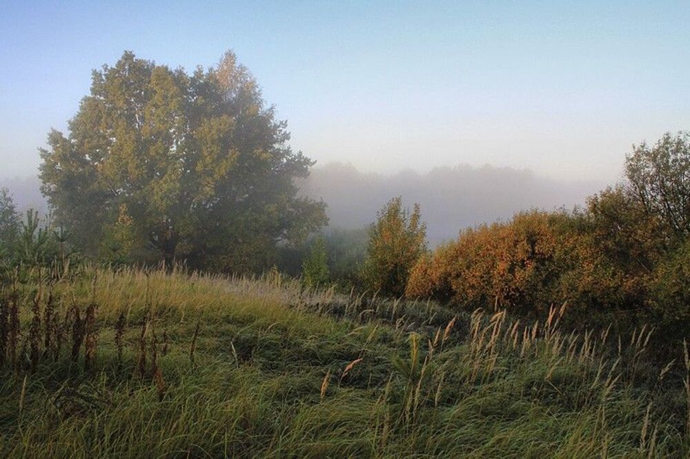 Photo 79259