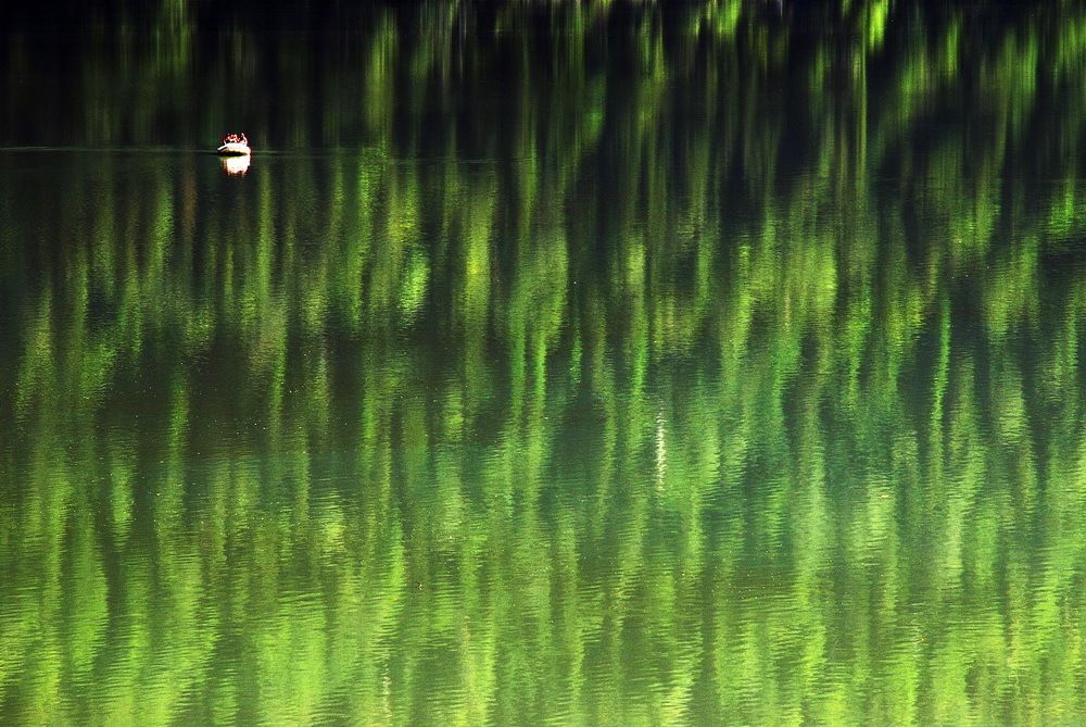Photo 79550