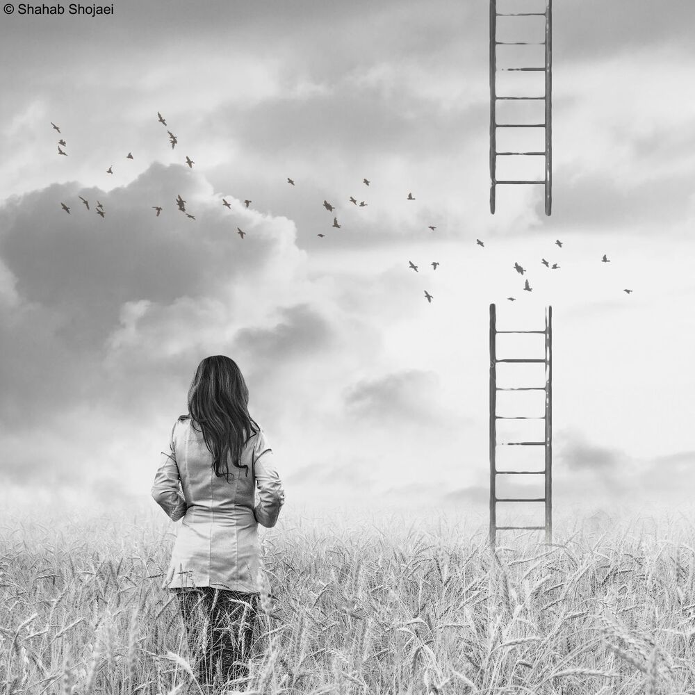 Ladder