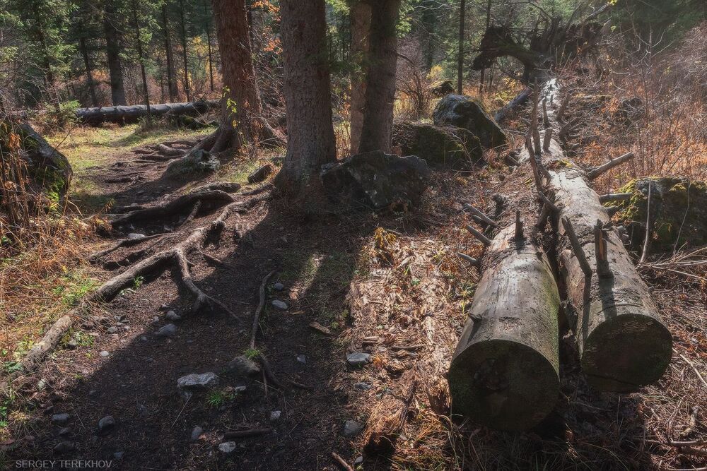 Тропы Кульсая