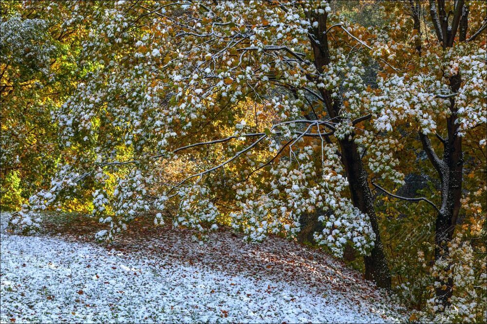 Карамельное кружево