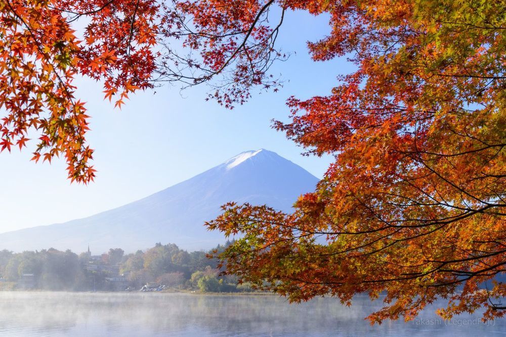Autumn leaves