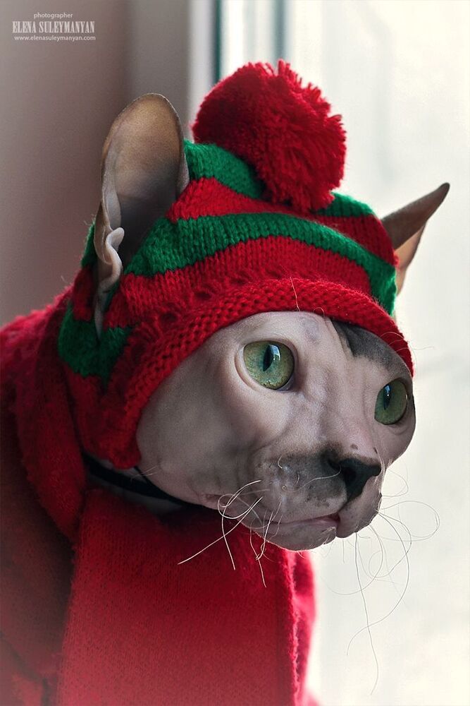 К зиме готов!))
