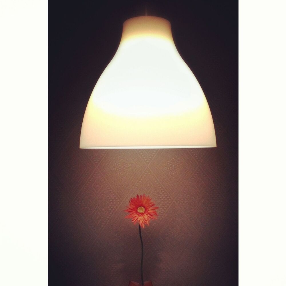 Photo 795996