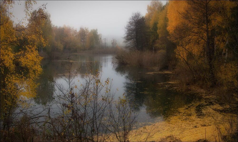 Photo 796322