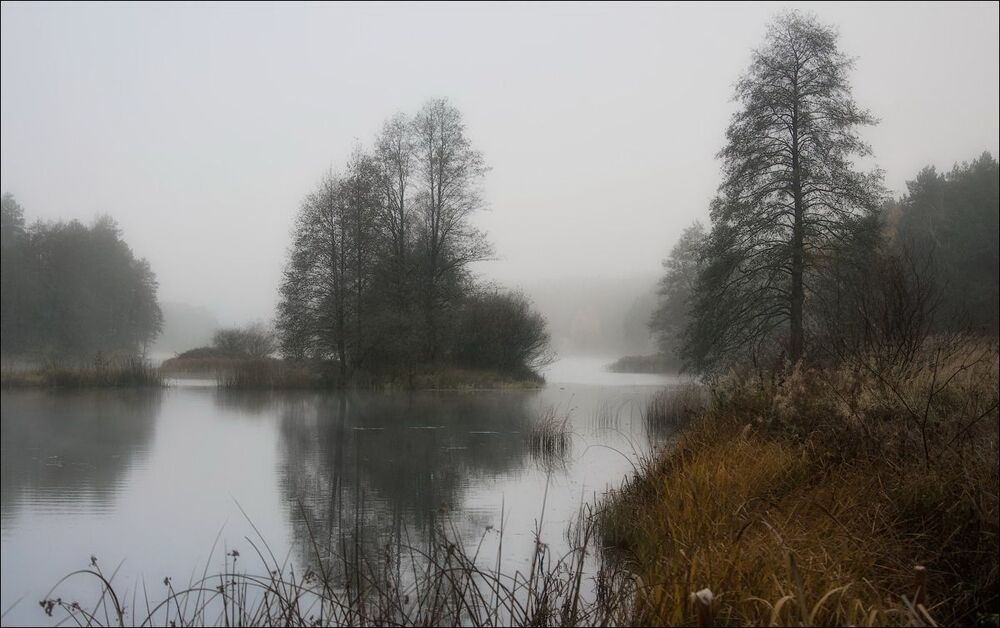 Photo 796324