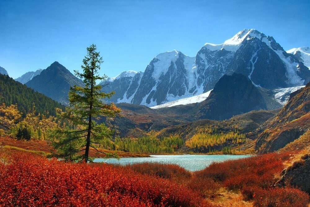 Photo 796437