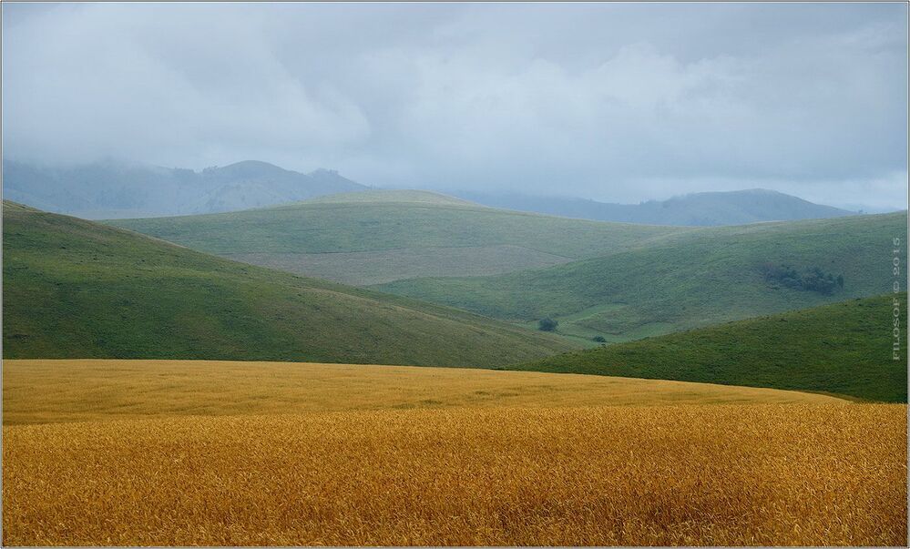 Алтайские мотивы