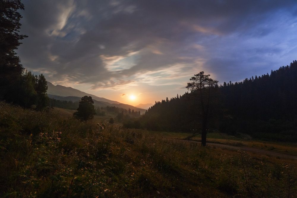 Взошла луна, а с ней и ночь светла...
