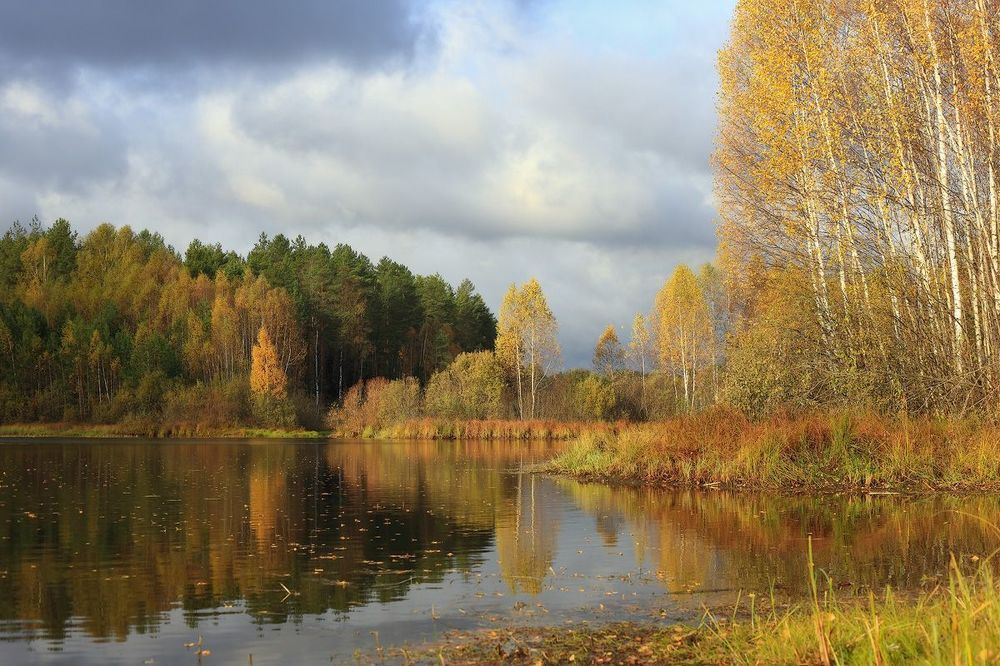 Время осени