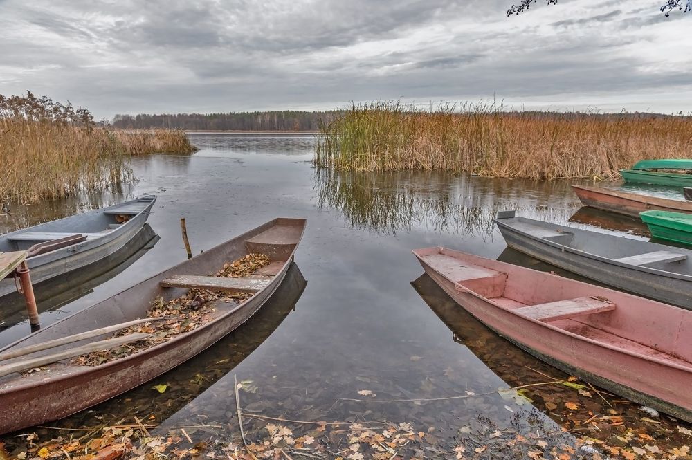 Красота природы
