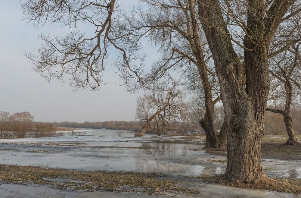 Красота природы