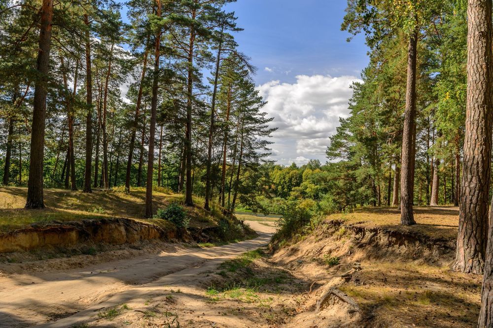 Красота природы