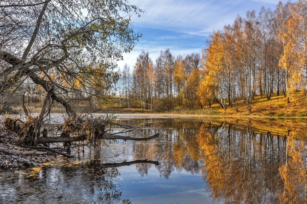 Красота природы