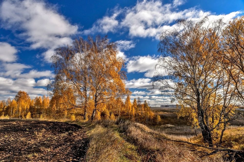 Красота природы