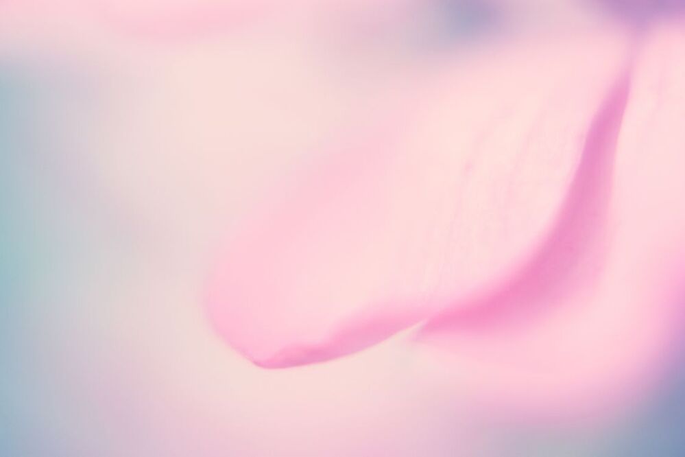 untitle