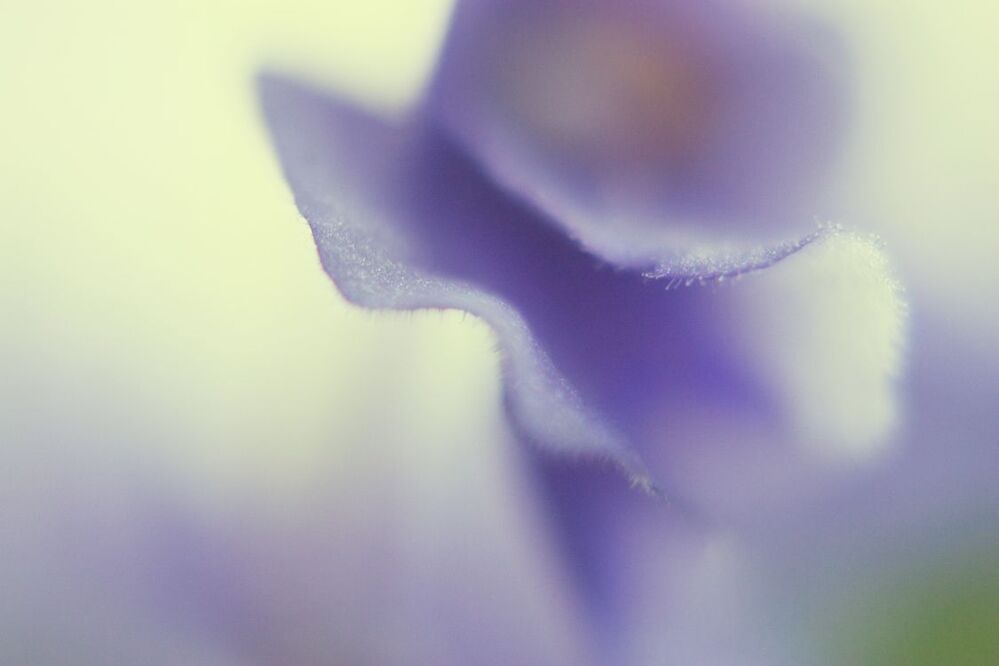 untitle