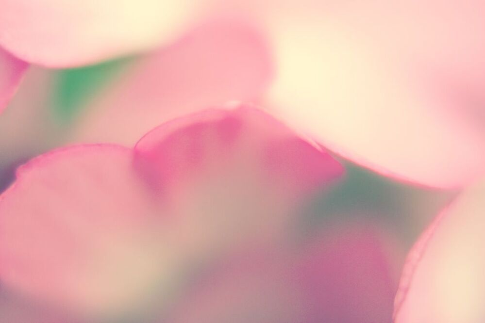untitle