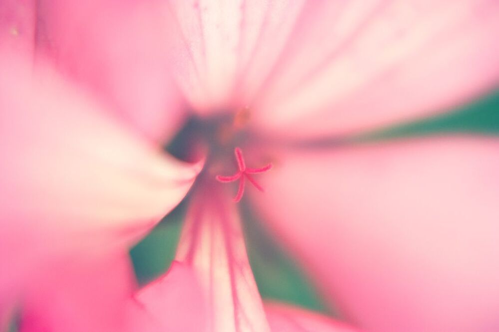 untitle