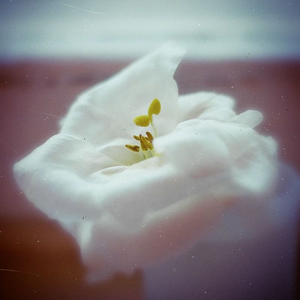Photo 80603