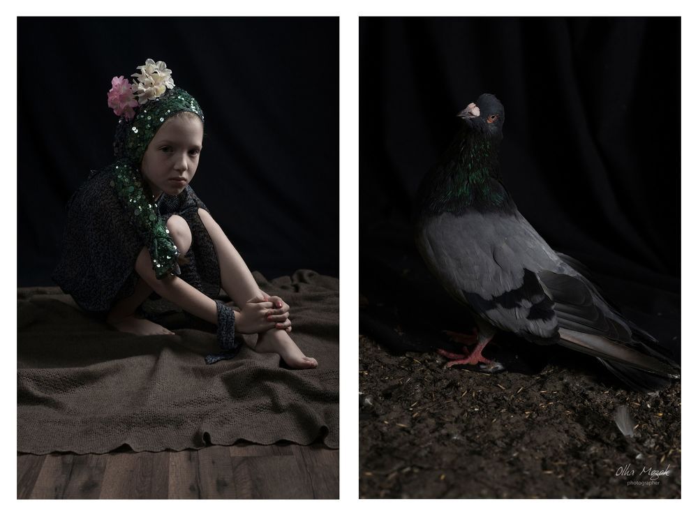 Из серии "I'm not a bird!"