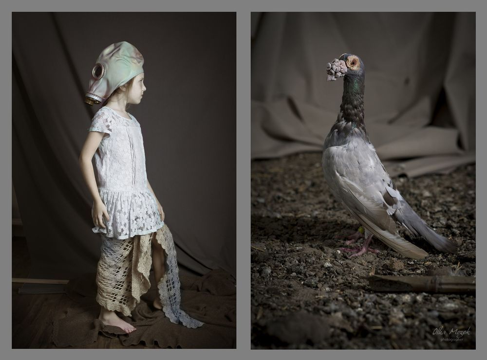 Из серии "I'm not a bird!"