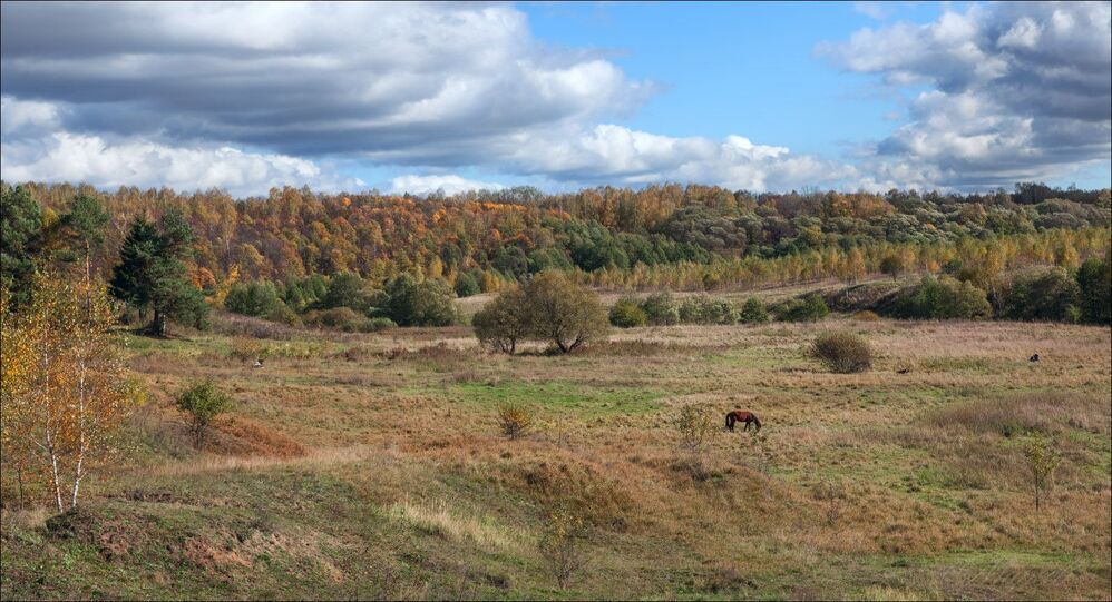 Осенняя пастораль