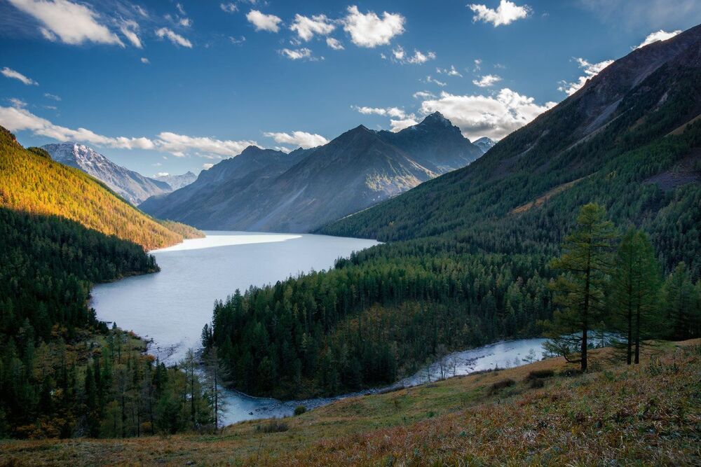 Алтайская классика