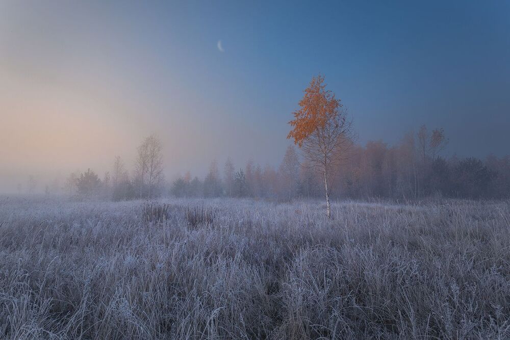 Photo 801573