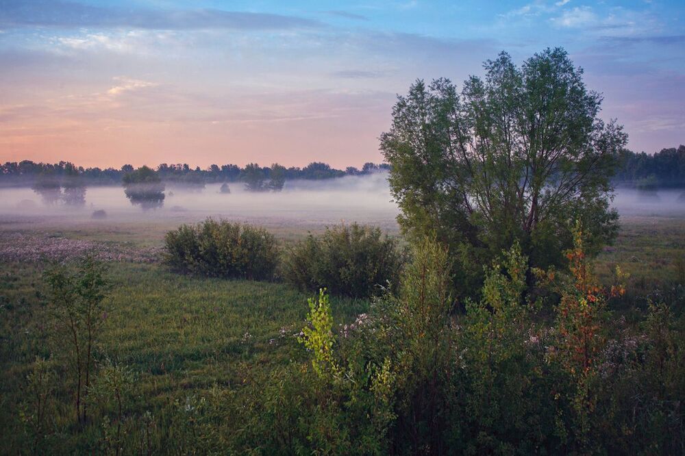 Утром