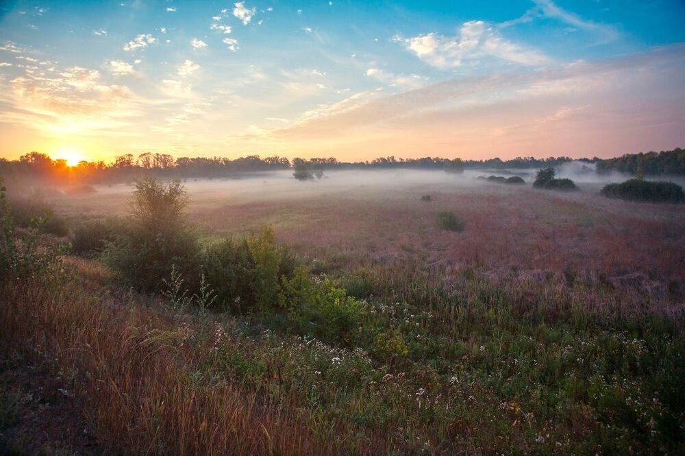Утром