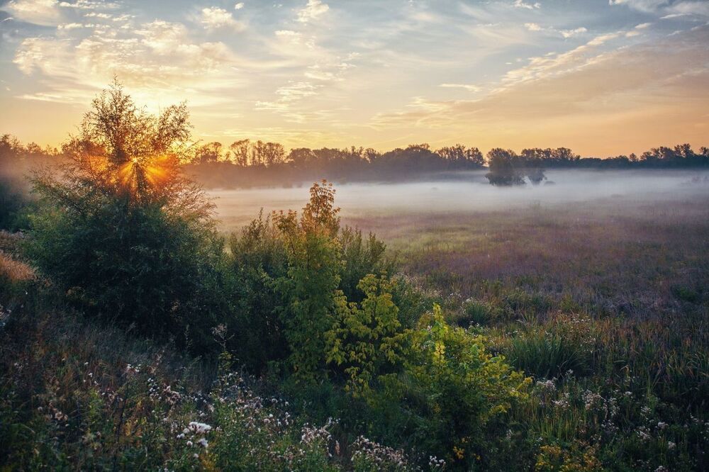 Утром