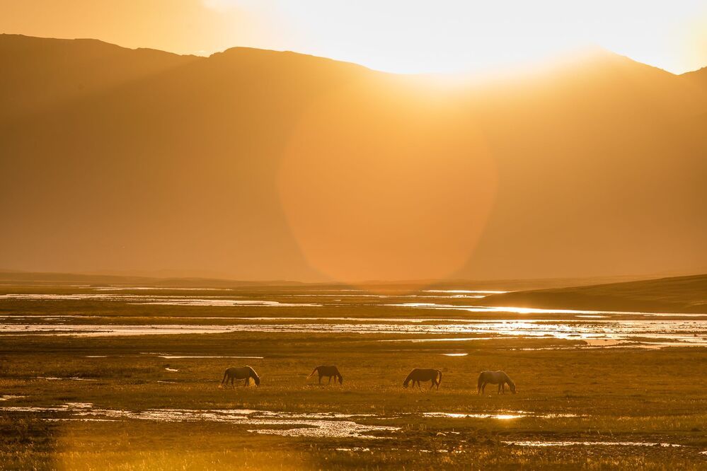 Tjan-Shan. Burhan river valley