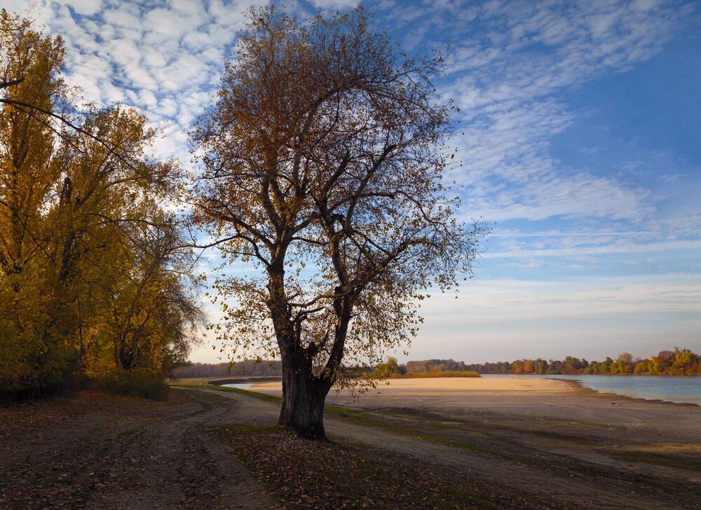 Кубань