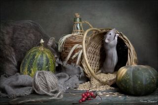 Тина и Фредди сняты по отдельности.