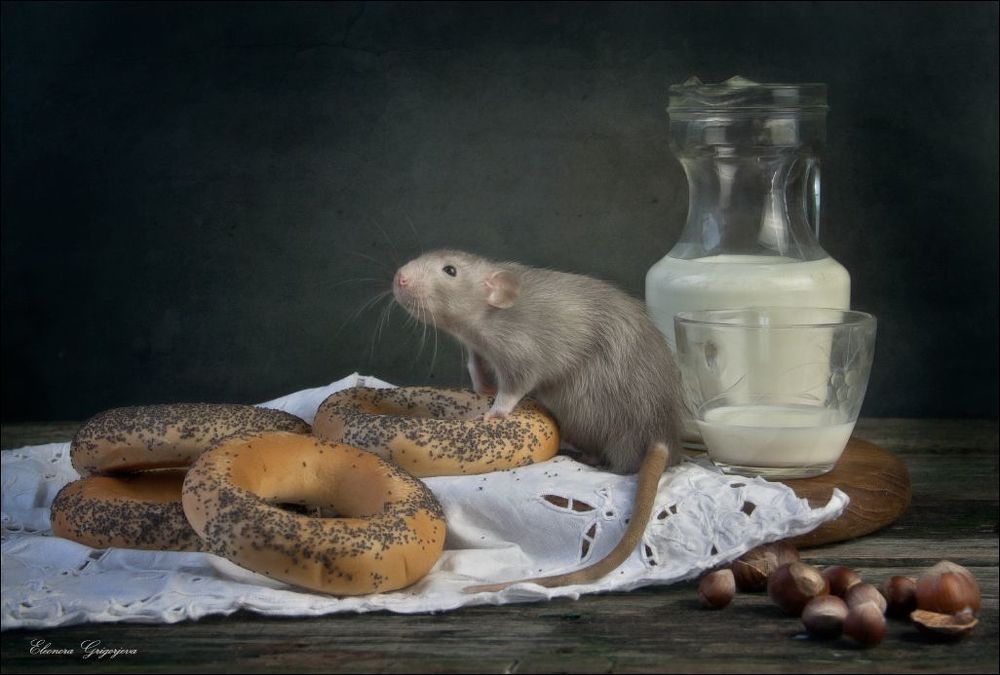 Молоко с бубликами