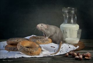 Молоко с бубликами