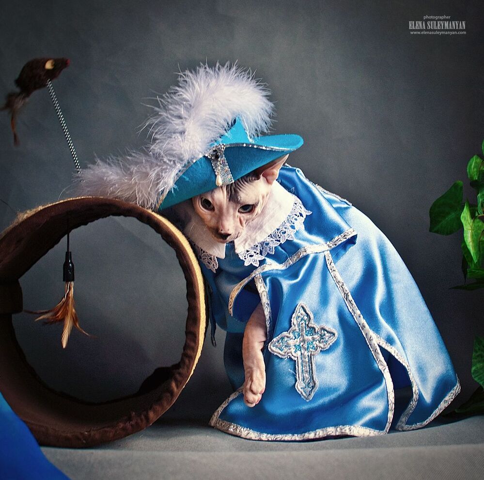 Портос - настоящий мушкетёр))