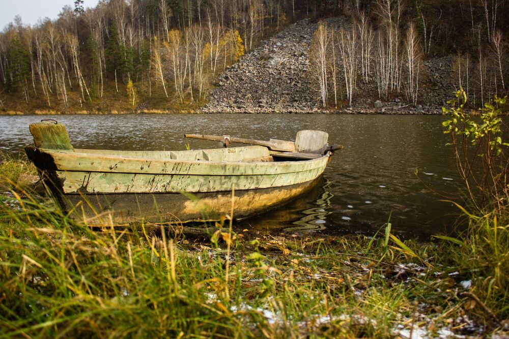 Днем светло, солнечно и желто-зелено
