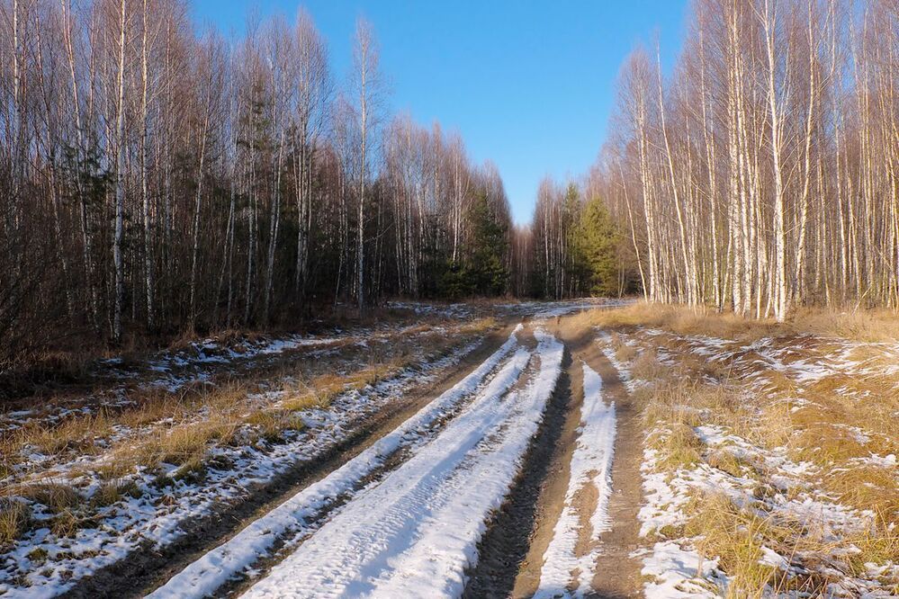 01 В позапрошлые выходные я имел удовольствие в очередной раз убедиться в достоинствах путешествия в Мещёру именно в предзимье. Первый снег, мягкий свет и прозрачный светлый лес радостно встретили меня в первый день моей прогулки&hellip;