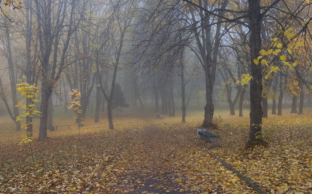 в старом парке городском...