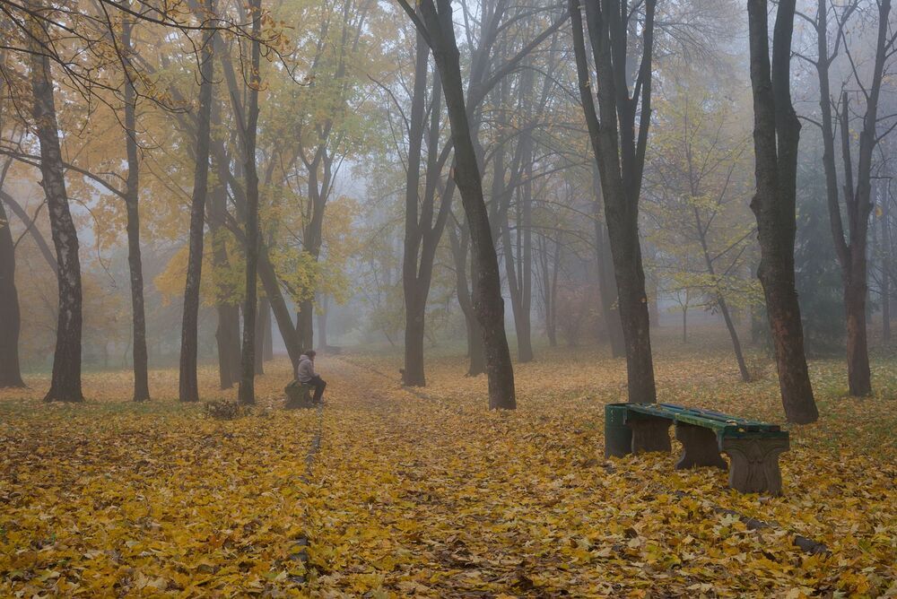 в старом парке городском...