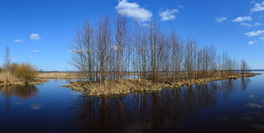 Photo 807310