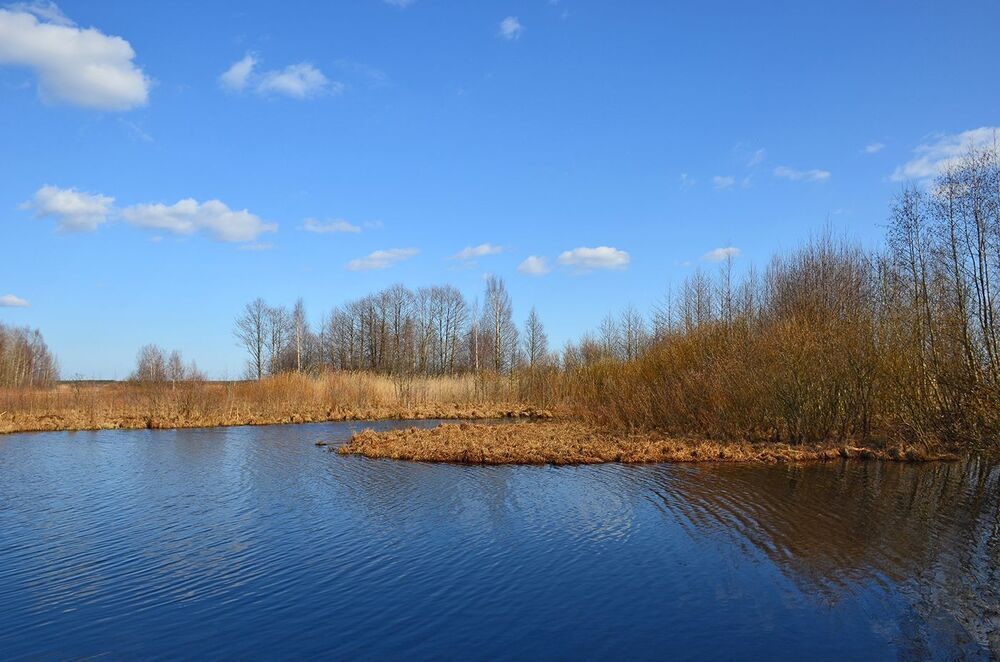 Photo 807313