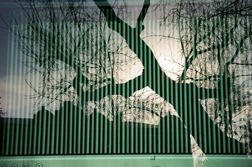 Color film