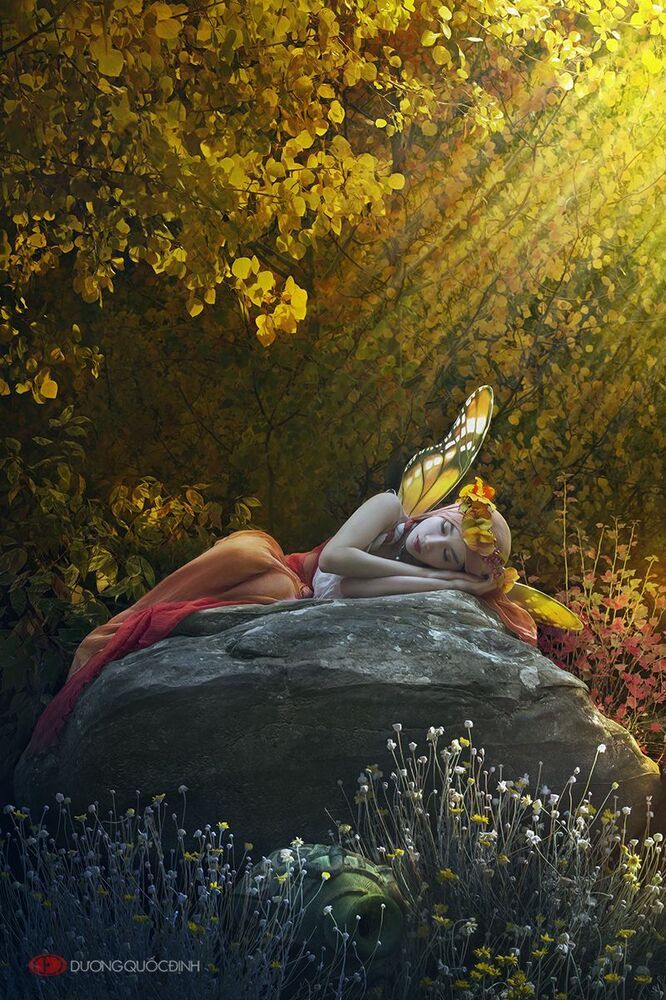 Autumn Fairy